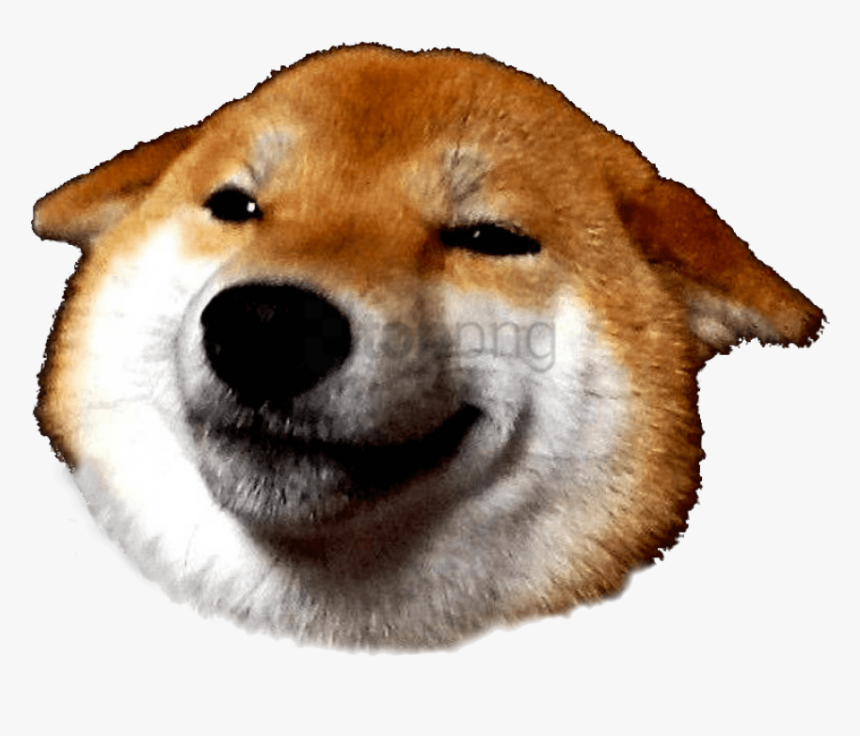 Inu,dog Inu,canis,non-sporting Dog,korean Jindo Dog,fawn - Shibe Png, Transparent Png