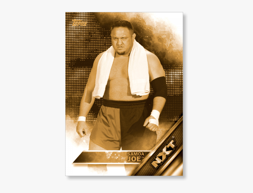 Samoa Joe Png - Wwe Dana Brooke Topps, Transparent Png