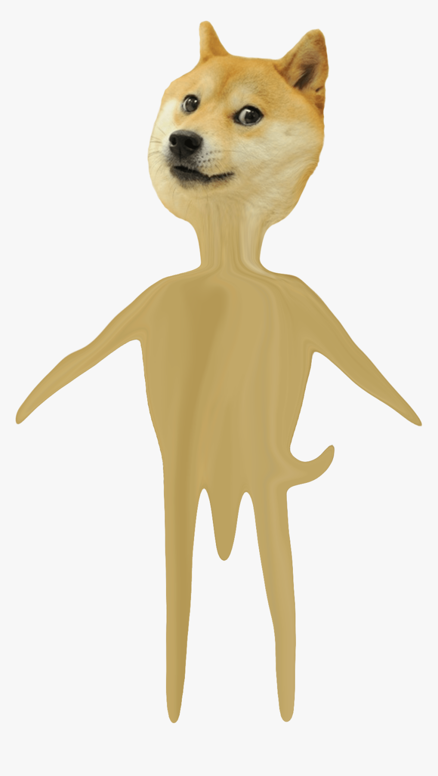 Shiba Inu, HD Png Download