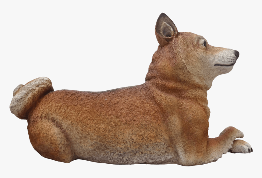 Dog Shiba Inu Animal Prop Life Size D̩ecor Resin Statue - Companion Dog, HD Png Download