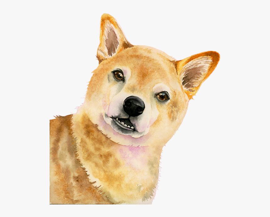 Shiba Watercolor, HD Png Download