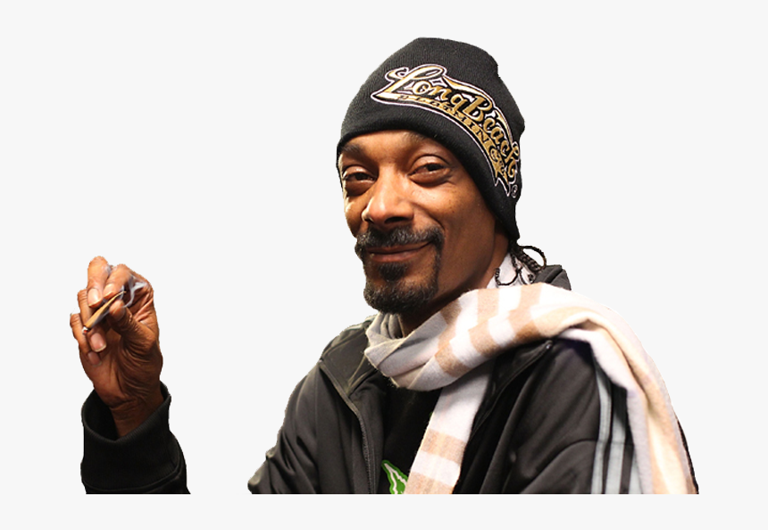 Common Chimpanzee, HD Png Download