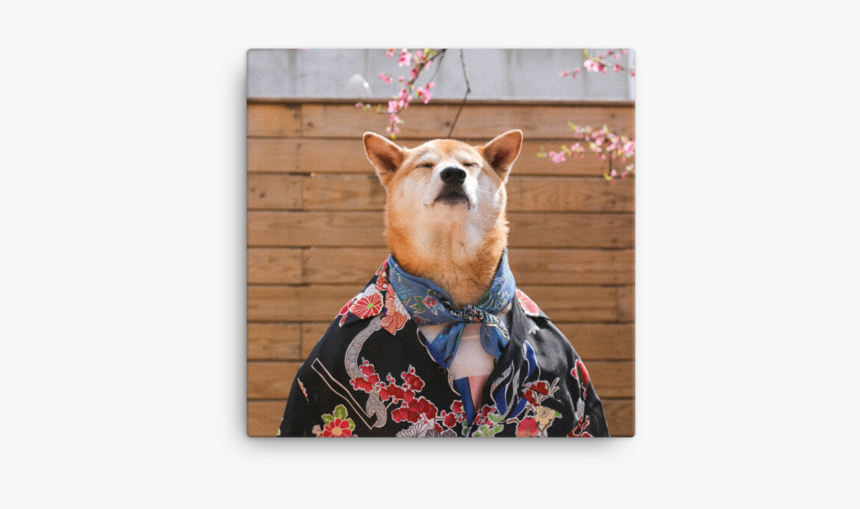 Mensweardog Cherry Blossom Canvas - Chú Chó Làm Người Mẫu Ảnh, HD Png Download