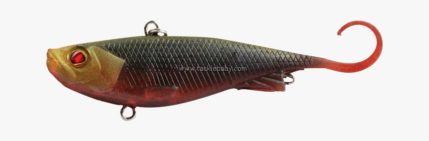 Trout, HD Png Download