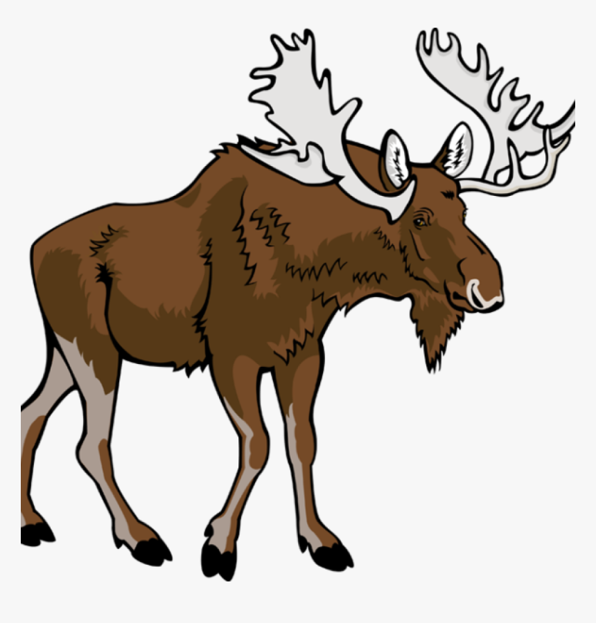 Graduation Cap Hatenylo Com Free Pictures Clipartix - Transparent Background Moose Clipart, HD Png Download