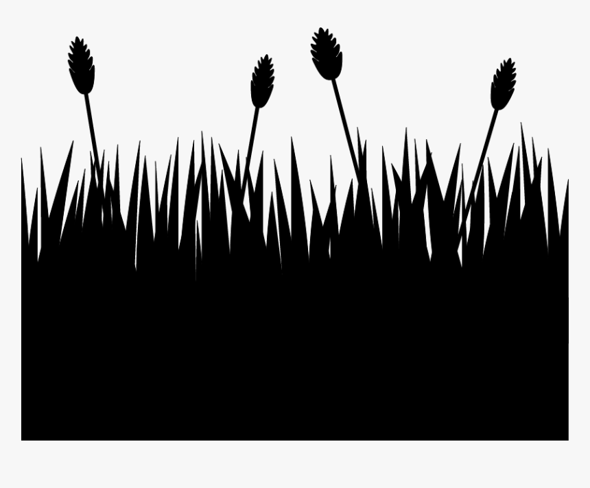 Transparent Grass Clipart Silhouette - Flower Field Silhouette Png, Png Download