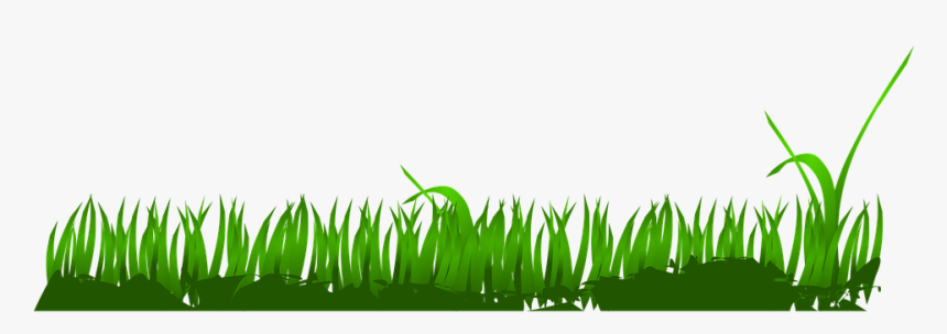 Grass, Earth Hour, Easter, Field, Outdoor, Nature, HD Png Download