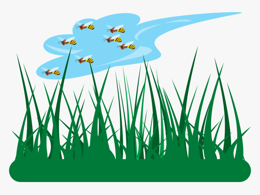 Png Dibujo Jardin, Transparent Png