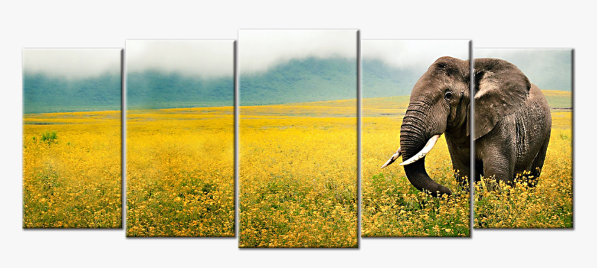 African Landscape & Wildlife Canvas - Cover Photo Facebook Quotes Elephant, HD Png Download