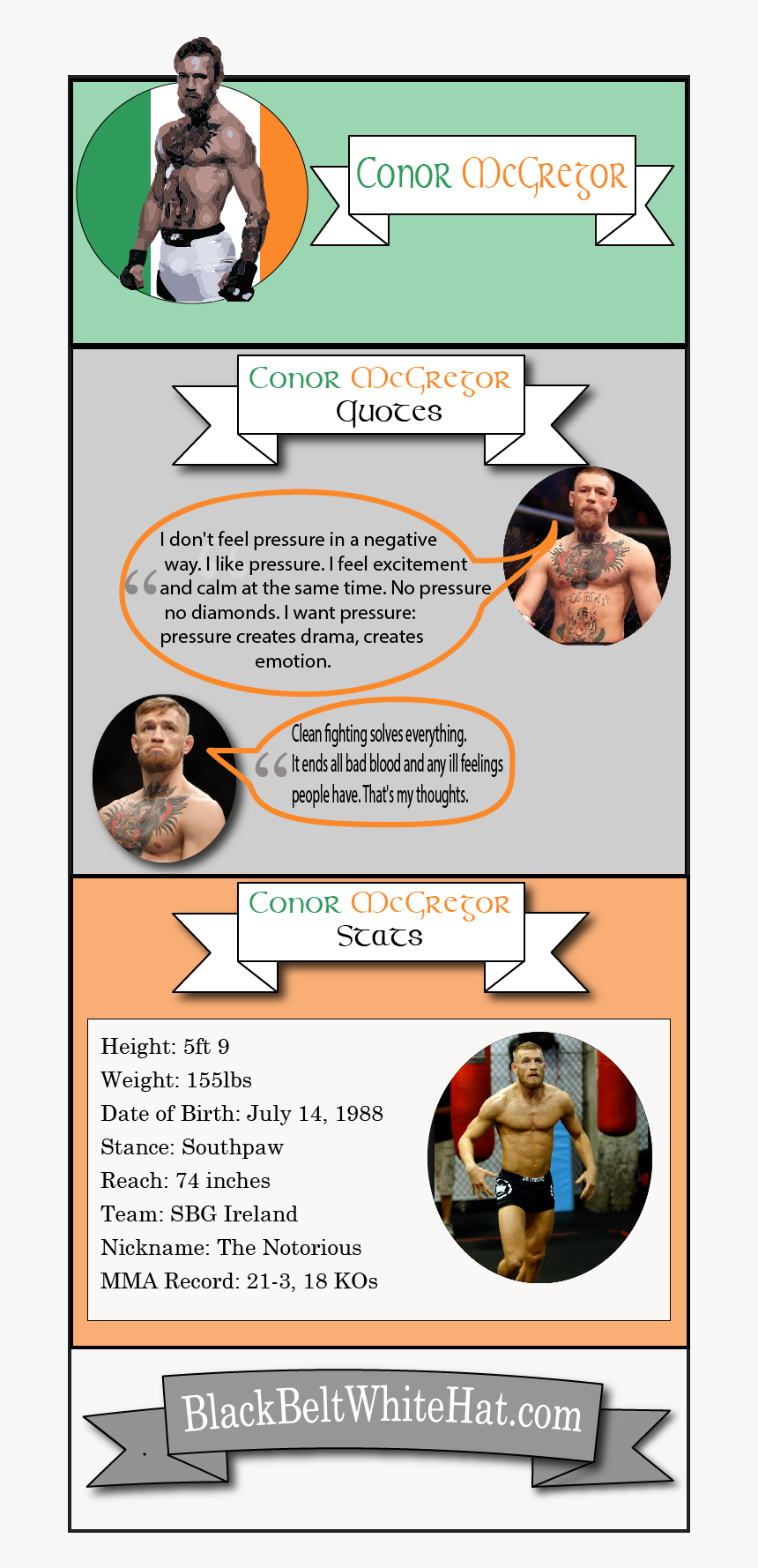 Conor Mcgregor Infographic - Lingerie, HD Png Download