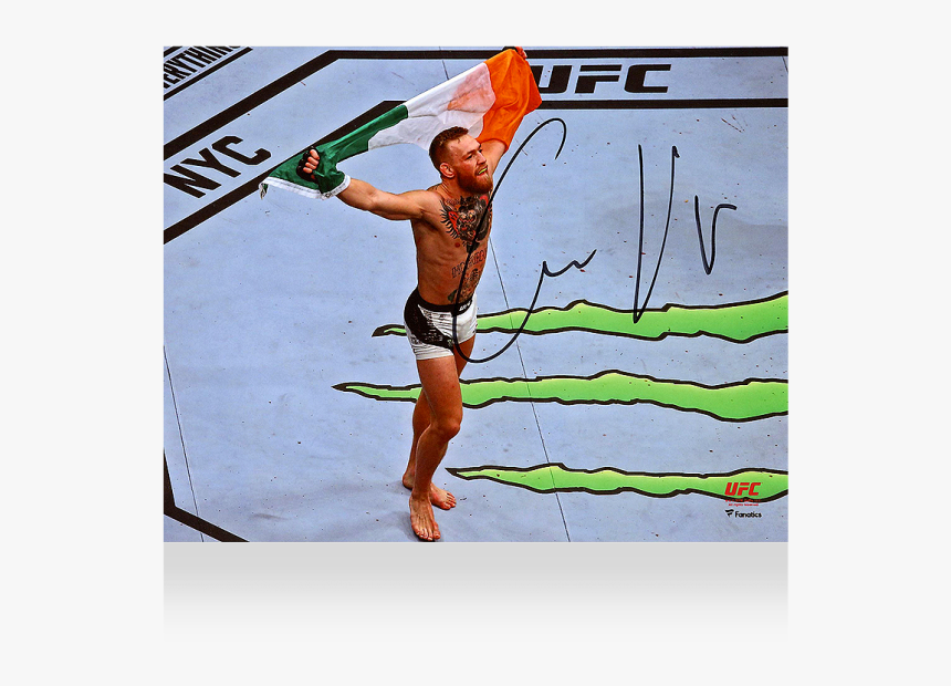 Khabib Vs Mcgregor Fight, HD Png Download