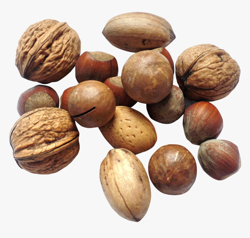 Nut Png Image - Transparent Nuts, Png Download