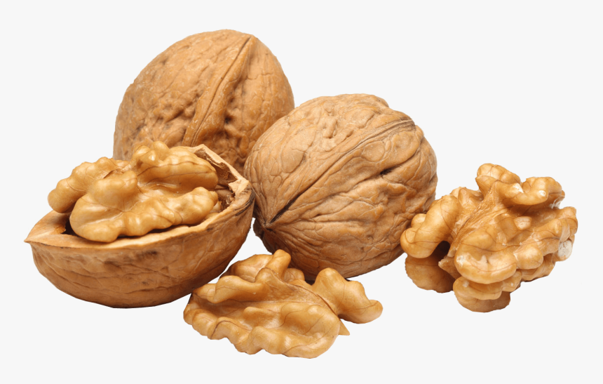 Walnut Group - Walnuts Png, Transparent Png