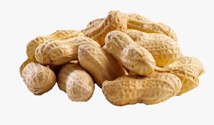 Peanut Png Transparent Images - Chemical Composition Of Peanut Butter, Png Download