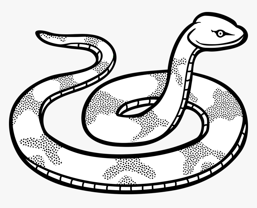 Snake Clipart Pdf - Snake Black And White, HD Png Download