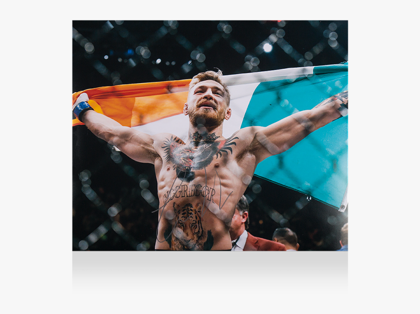 Conor Mcgregor Irish Flag, HD Png Download