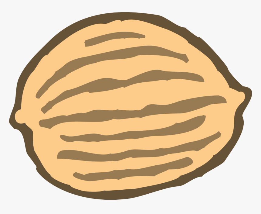 Nut Clip Art - Drawing Of A Nut, HD Png Download