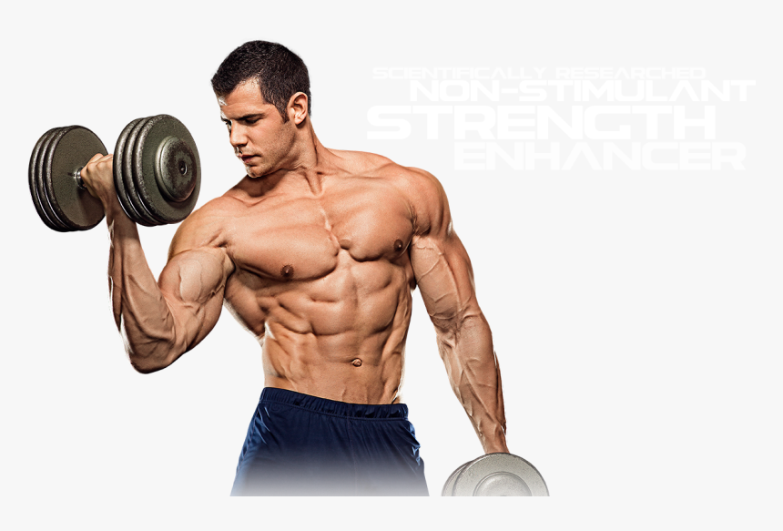 Muscle Png File Download Free - Weight Training, Transparent Png