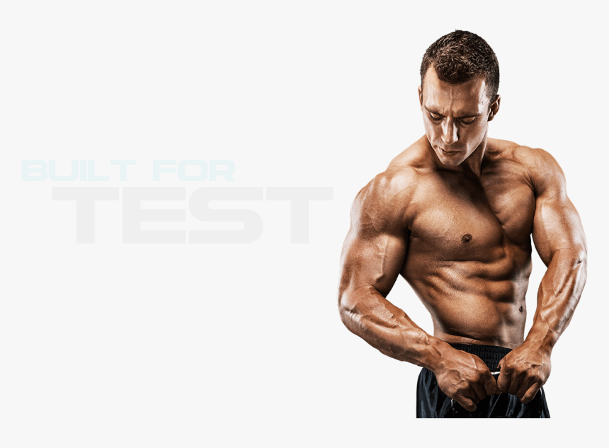 Muscle Png Image File - Ayurveda Body Mass, Transparent Png
