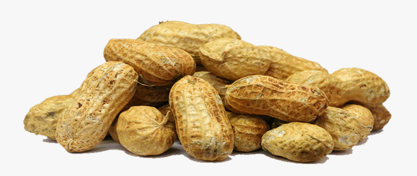 Peanut Png Images Free - Free Photo Nut Transparent Background, Png Download