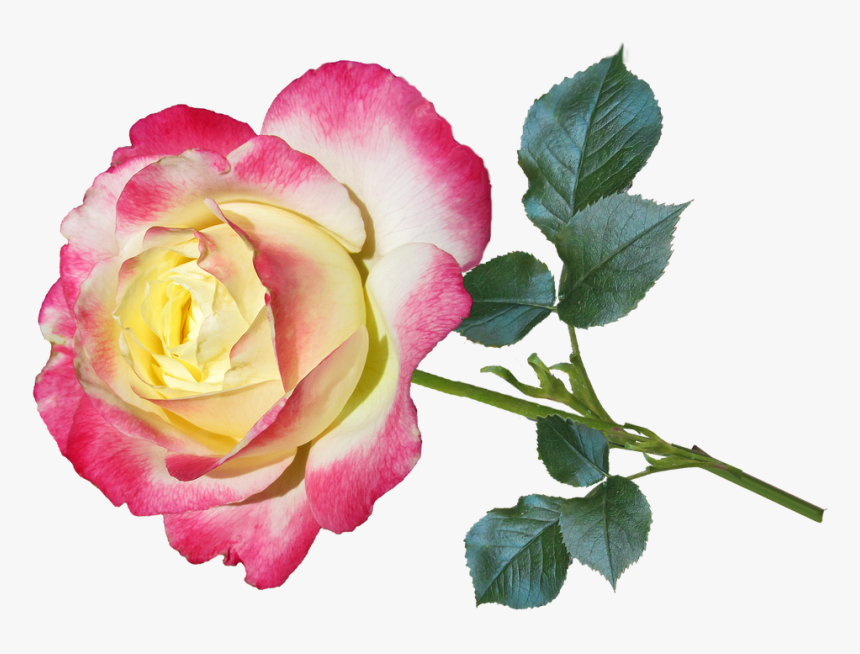 Saludos Por Eldia De Sanvalentin, HD Png Download