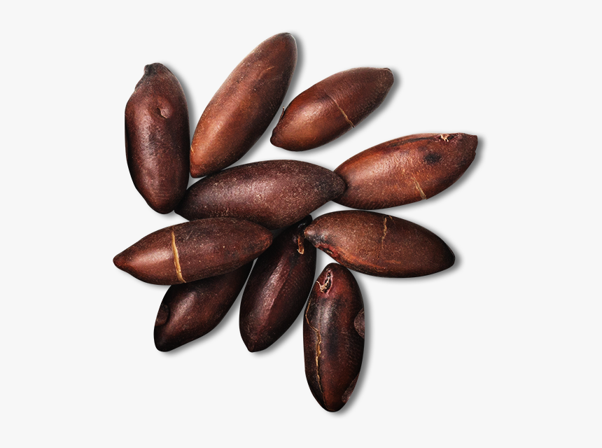 Barukas Nuts, HD Png Download