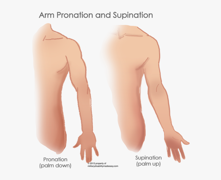 Linear Scars, HD Png Download