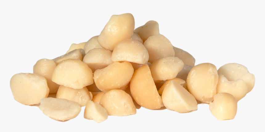 Elephant Garlic, HD Png Download