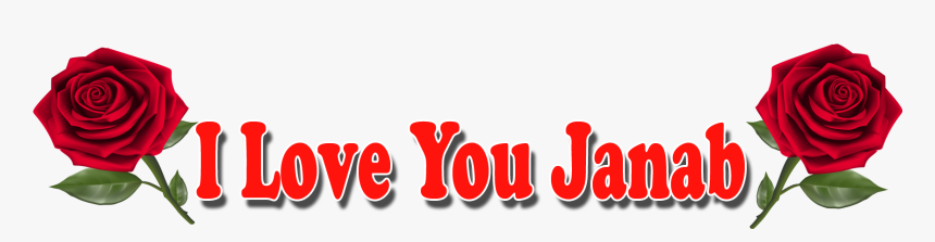 I Love You Janab Red Rose Png - Happy Anniversary Png Text, Transparent Png