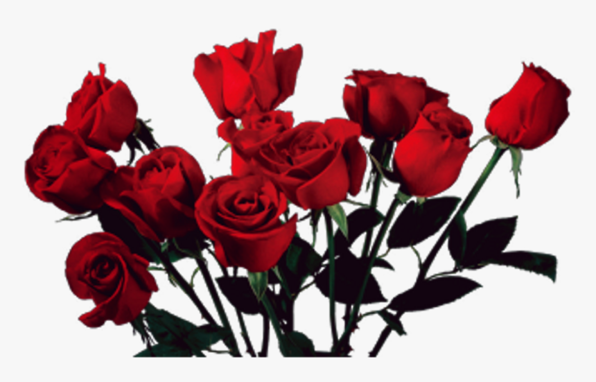 Vintage Love Tumblr Tumblrgirl Rosas Flowers - Aesthetic Transparent Rose Png, Png Download