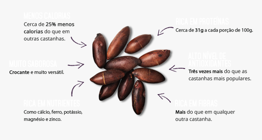 Barukas Nuts, HD Png Download