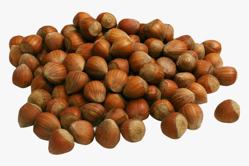 Hazelnut Png, Transparent Png