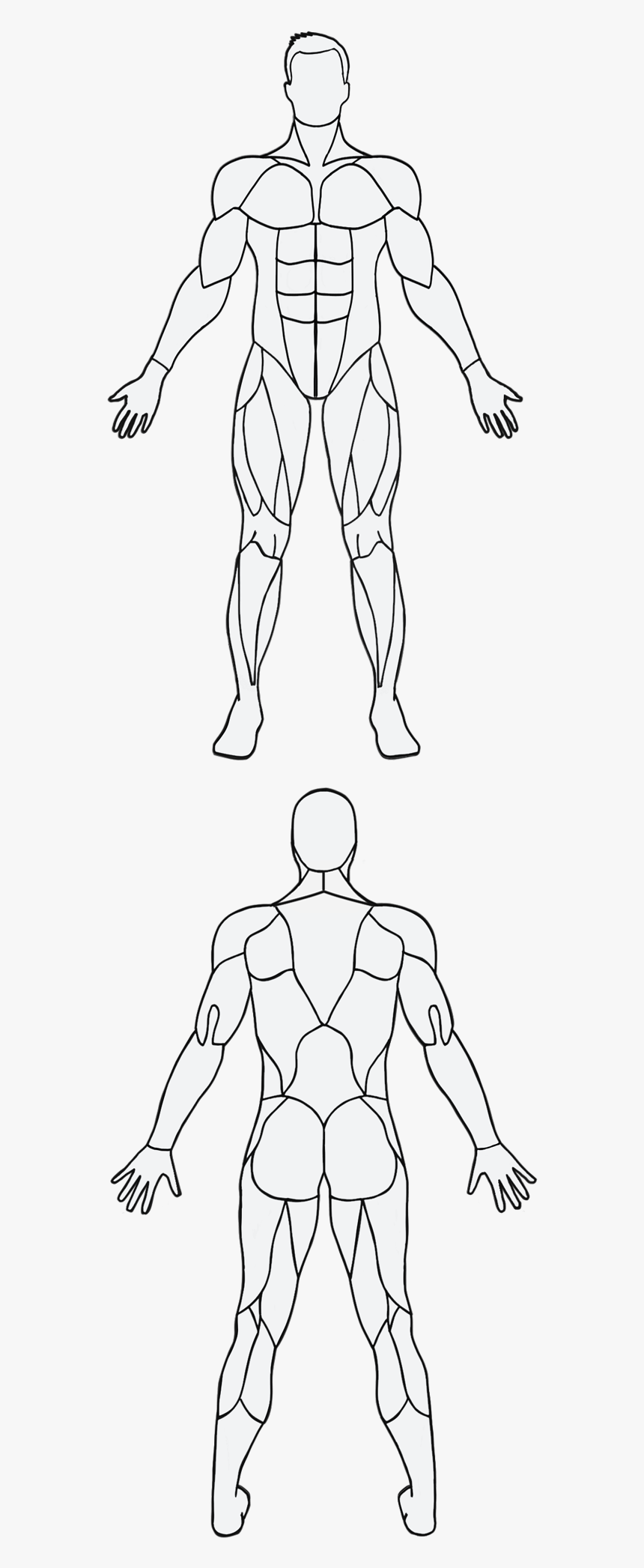 Muscle, HD Png Download