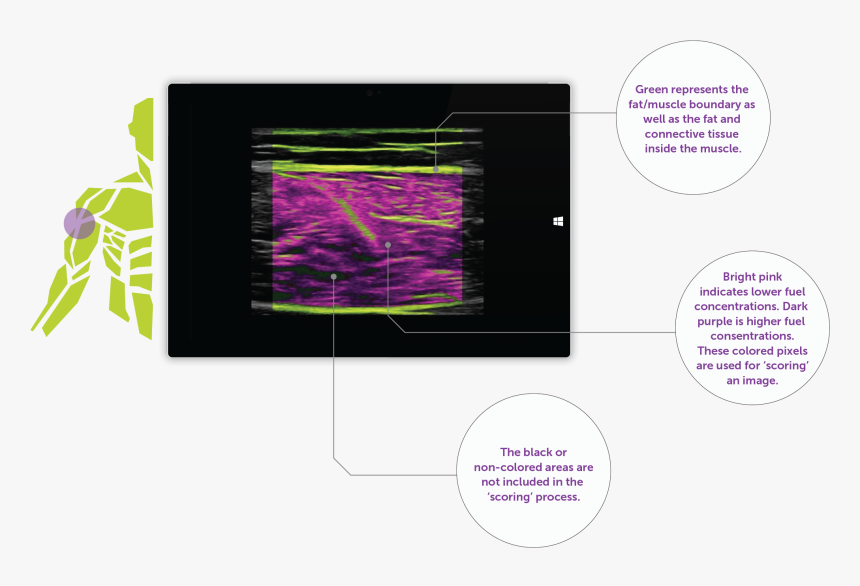 Diagram, HD Png Download