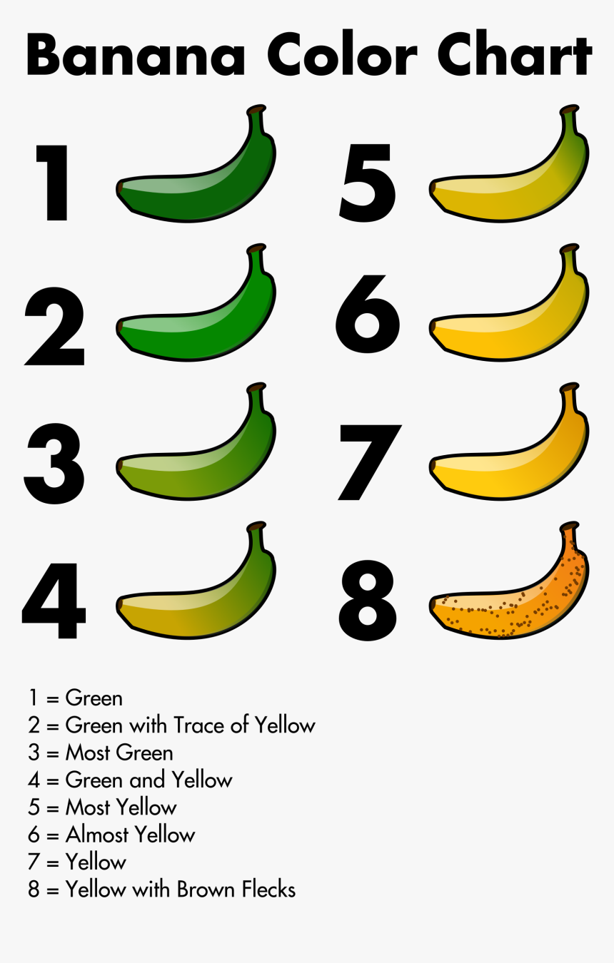 Banana Color Chart Clip Arts - مراحل نمو الموز, HD Png Download