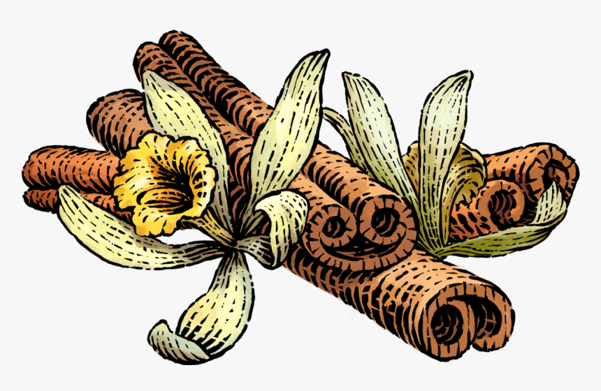 Nutrition Facts - Siggi's Yogurt Vanilla Cinnamon, HD Png Download