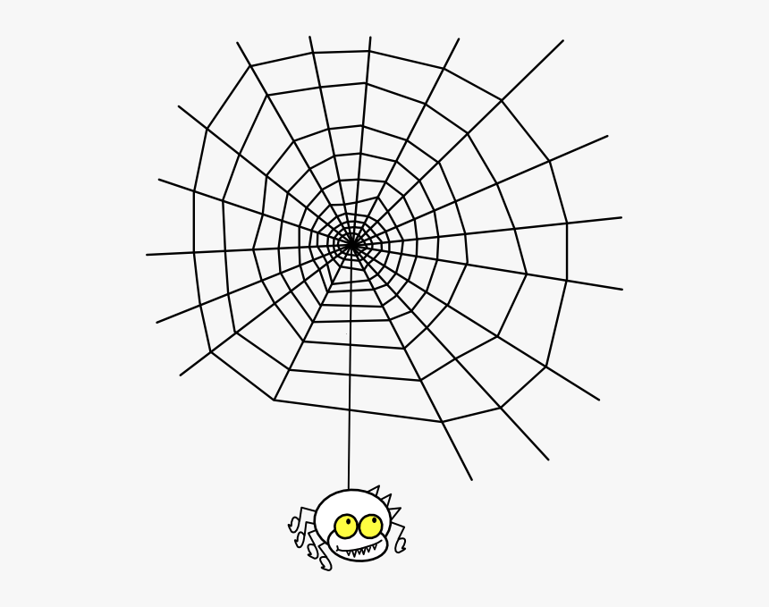 Maths In Spider Webs, HD Png Download