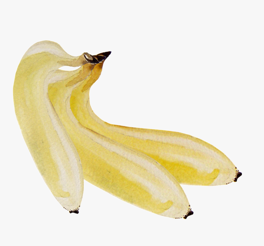 Hand Painted Three Bananas Transparent Png - Peel, Png Download
