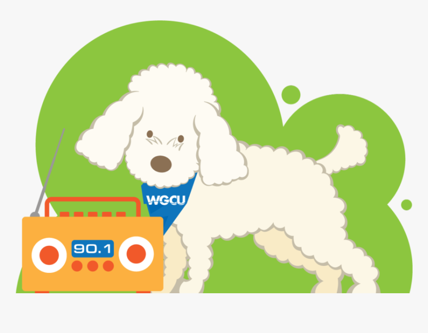 Miniature Poodle, HD Png Download