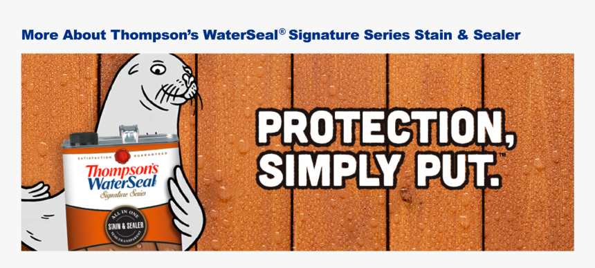 Steller Sea Lion, HD Png Download