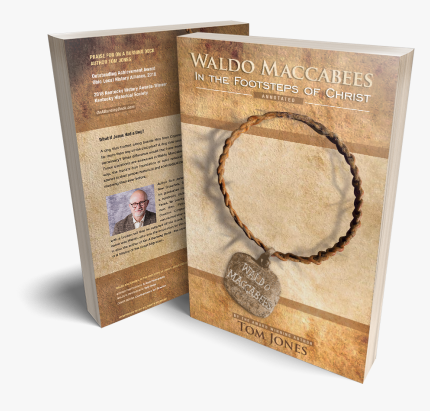 Wood, HD Png Download