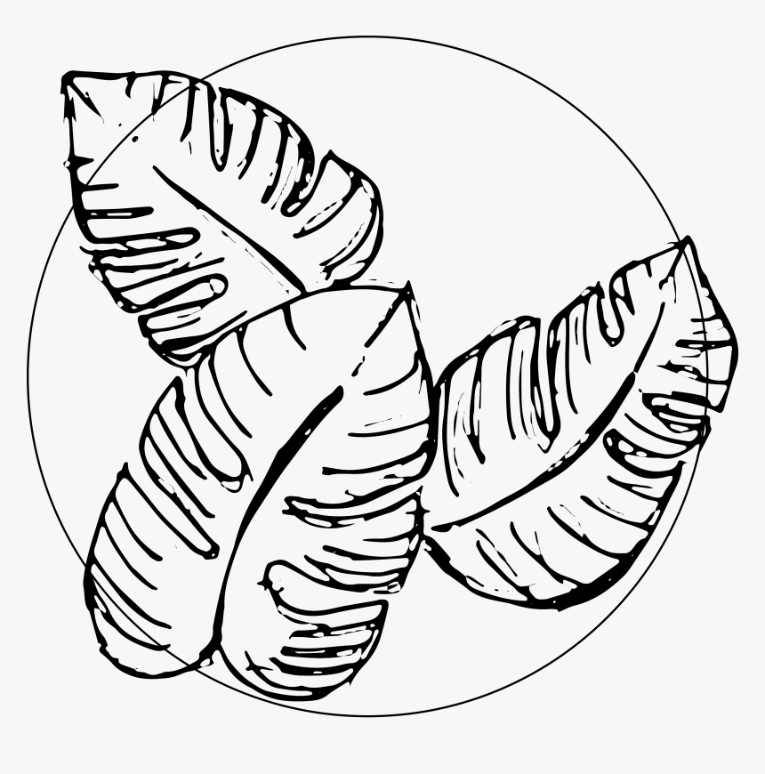 Helena Alexis, HD Png Download