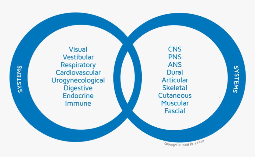 Circle, HD Png Download