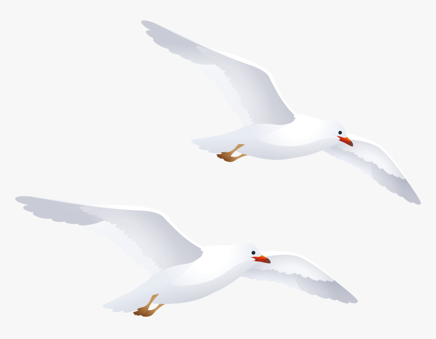 Seagulls Png Clipart - Seagulls Clipart Png, Transparent Png