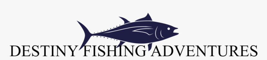 Destiny Png, Transparent Png