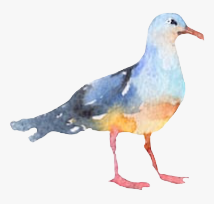 #bird #seagull #watercolor #freetoedit - Watercolor Seagull Clipart Png, Transparent Png