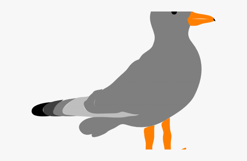 Transparent Seagull Png - Clip Art Gull, Png Download