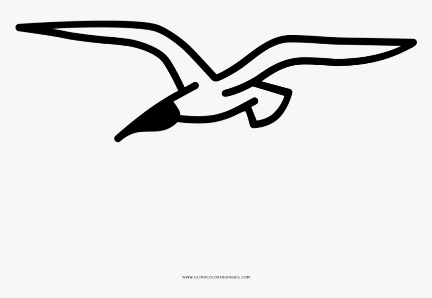 Transparent Seagull Png - Cómo Dibujar A Una Gaviota, Png Download