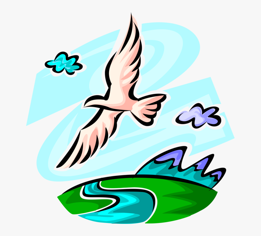 Vector Illustration Of Seagull Bird Flies In Healthy - Bird Flying Over The River, HD Png Download