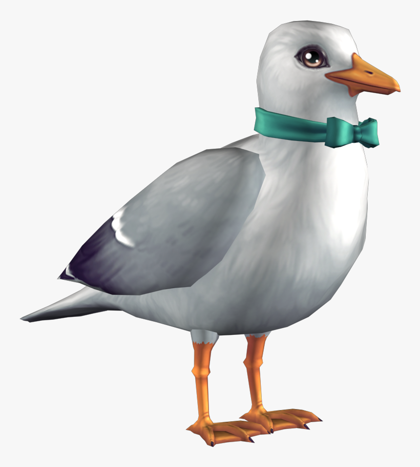 European Herring Gull, HD Png Download